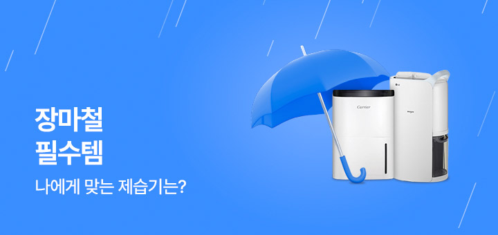 테마존 - 장마필수템