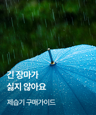 테마존 - 장마필수템