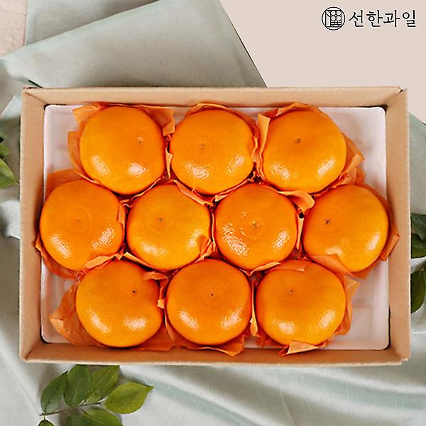 선한과일 고당도 단품 선물세트 6종 (특판)