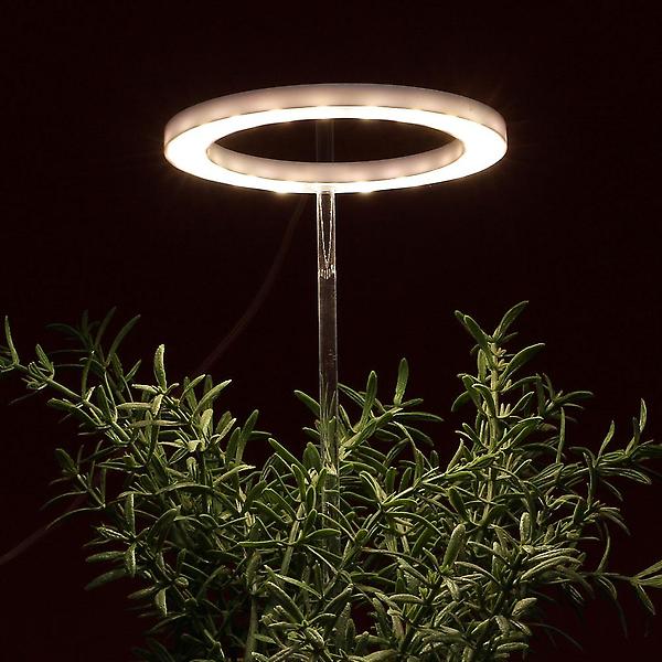 [도매토피아/엔젤링 화분 LED 식물등(] 엔젤링 화분 LED 식물등(헤드형) (웜색) 식물성장조명