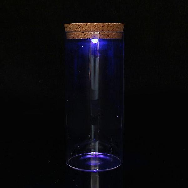 [도매토피아/TREE-00001] 마리모 키우기 LED 유리병 수경식물키우기