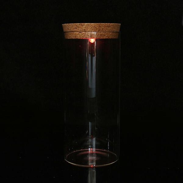 [도매토피아/TREE-00001] 마리모 키우기 LED 유리병 수경식물키우기