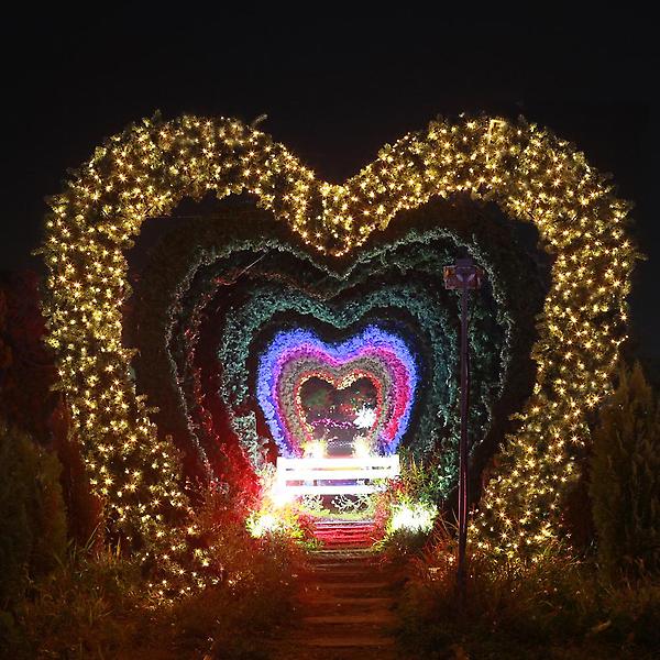  [은하수] 50구 투명선 LED 웜색 지니전구(5M) 전원잭