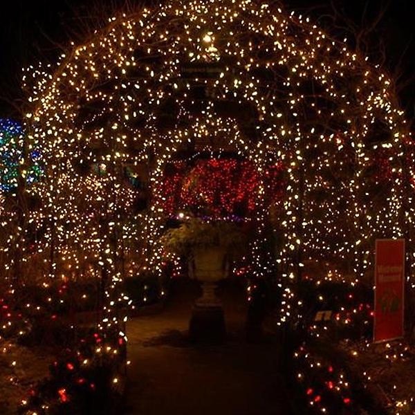  [은하수] 50구 투명선 LED 웜색 지니전구(5M) 전원잭