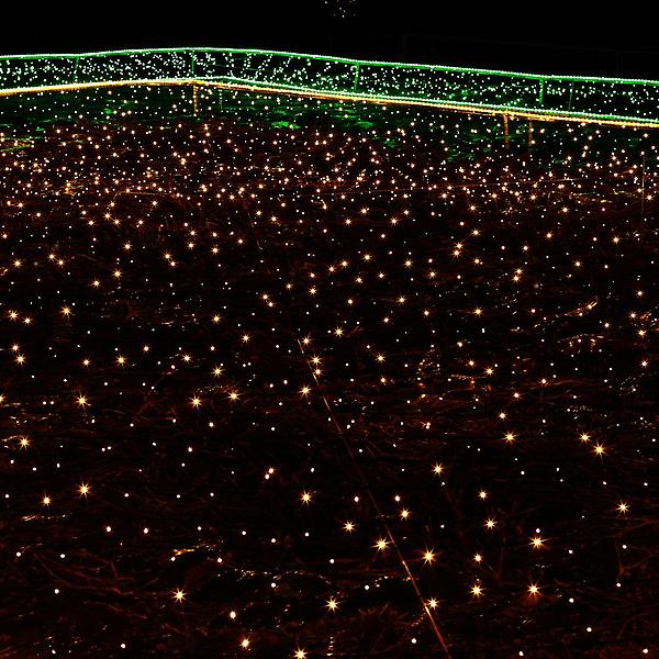 [도토로/[은하수] 50구 투명선 L] [은하수] 50구 투명선 LED 웜색 지니전구(5M) 전원잭