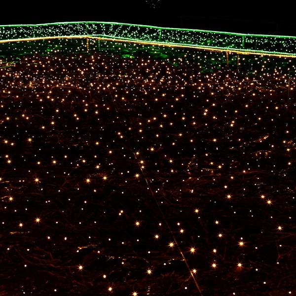 [도매토피아/TREE-00001] 오스타 LED 100구 녹색선 웜색 줄전구 10m 무드조명