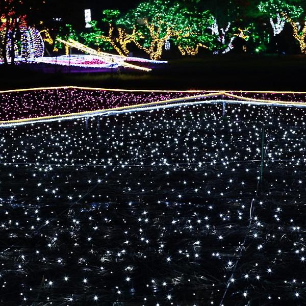 [도매토피아/TREE-00001] 오스타 LED 100구 투명선 백색 줄전구 10m 야외조명