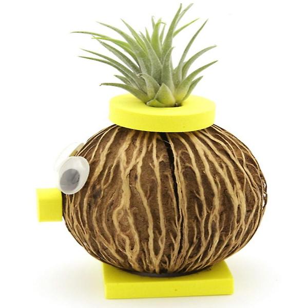 [ScienceTime/PM00001] 코코넛 이오난사 인형 만들기 (탄소중립)