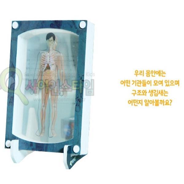 [ScienceTime/PM00001] 3D액자 만들기 [인체] - 소화기, 근육, 뼈
