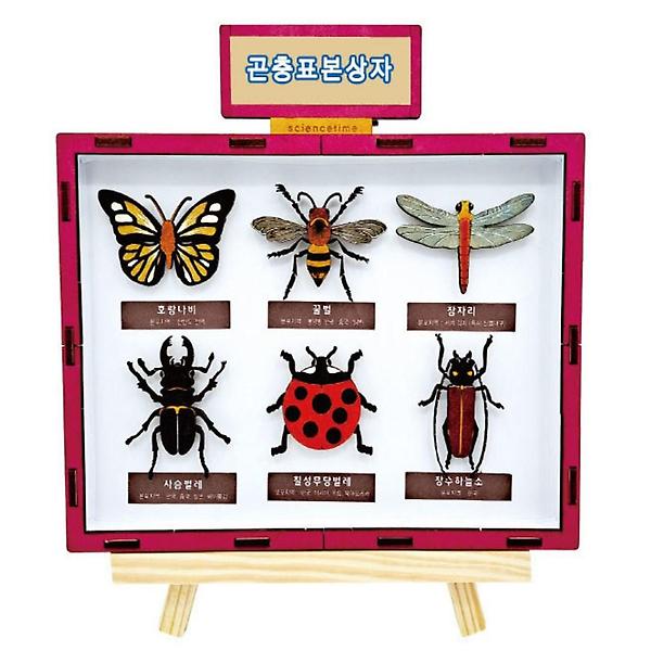 [ScienceTime/PM00001] 곤충 표본 상자 만들기학습용 브로마이드 제공