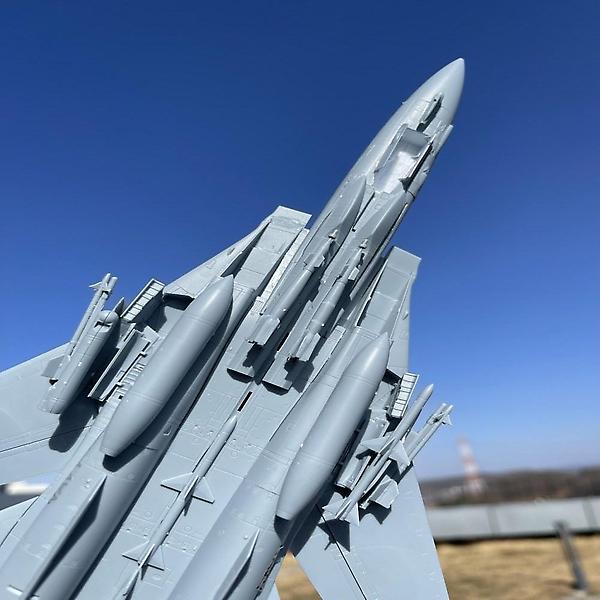 [아카데미과학/PM-00001] 완성품 1/72 F-14 톰캣 탑건 공군 매버릭