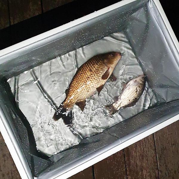  싸파 다용도 폴딩박스 53cm 블랙 캠핑 수납함 정리함