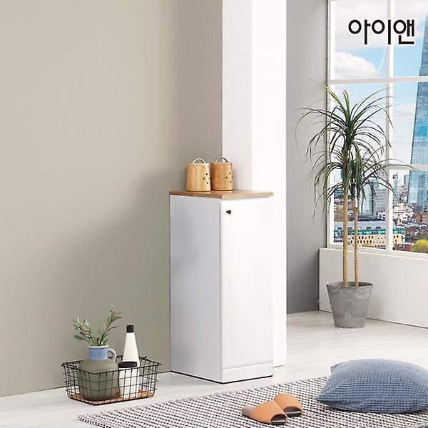  아이앤 제논 300 소형 틈새장 AP