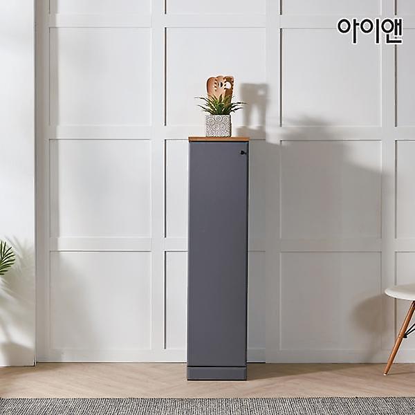  아이앤 제논 300 중형 틈새장 AP