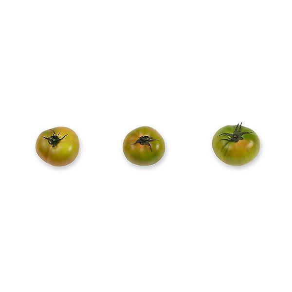[자연예서/TREETF-00001] [자연예서] 대저 토마토 2.5kg(S)