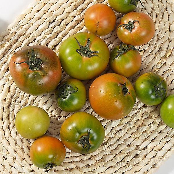 [자연예서/TREETF-00001] [자연예서] 대저 토마토 2.5kg(2S)