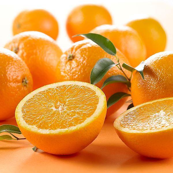 [자연예서/TREETF-00001] [고랑몰라] 고당도 오렌지 17kg (72과) 미국수입산