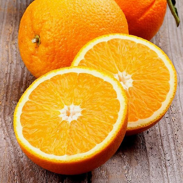 [자연예서/TREETF-00001] [고랑몰라] 고당도 오렌지 17kg (72과) 미국수입산