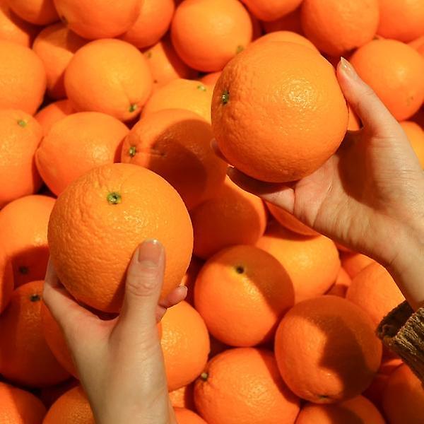 [자연예서/TREETF-00001] [고랑몰라] 고당도 오렌지 5kg(20과) 미국 수입산