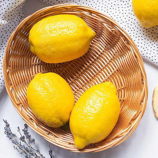 [자연예서/TREETF-00001] [자연예서] 미국산 레몬 17kg(100-115과) (대)