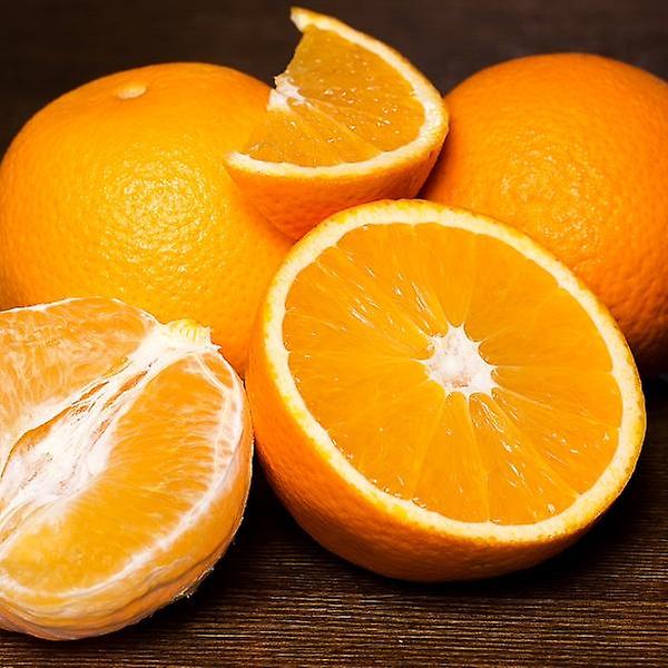 [자연예서/TREETF-00001] [고랑몰라] 고당도 오렌지 17kg (56과) 미국산