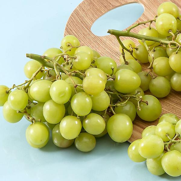  [자연예서] 껍질째먹는 청포도 8kg 고당도 수입산포도