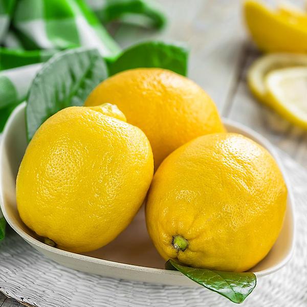 [자연예서/TREETF-00001] [자연예서] 미국산 레몬 4kg(25-30과) (대)