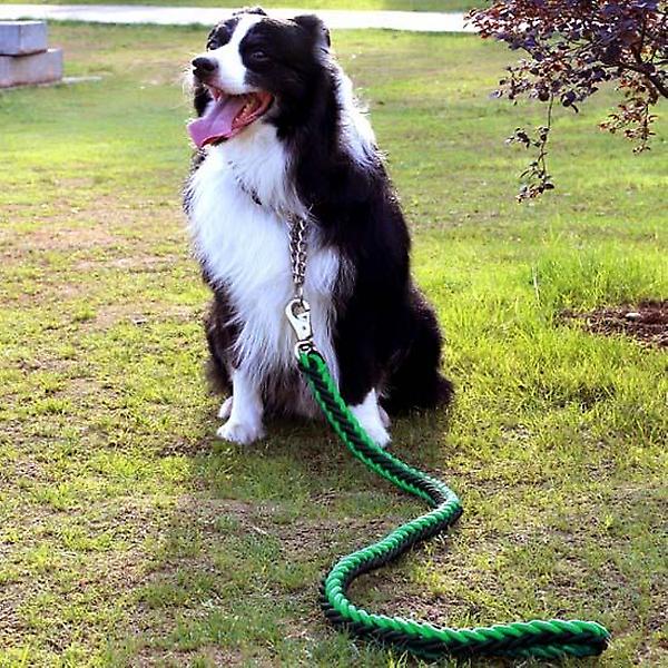  트위스트 로프 대형견 목줄+리드줄(1.25M) (두께 2.5cm) (그린)