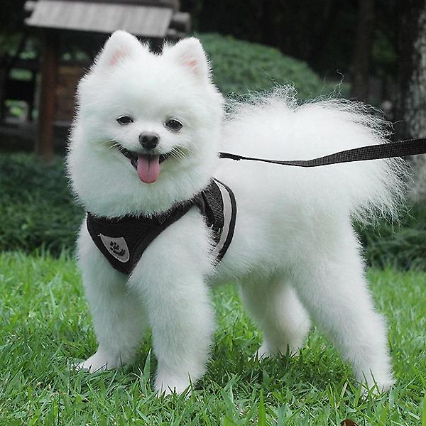  세이프 빛반사 강아지 하네스+리드줄 세트(L) (블랙)