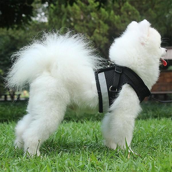  세이프 빛반사 강아지 하네스+리드줄 세트(L) (블랙)