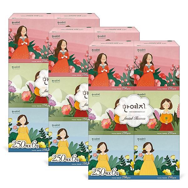  한예지 캐릭터 MINI 천연펄프 미용티슈 250매 6입 3팩
