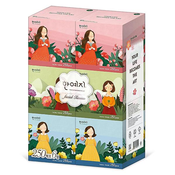  한예지 캐릭터 MINI 천연펄프 미용티슈 250매 6입 3팩