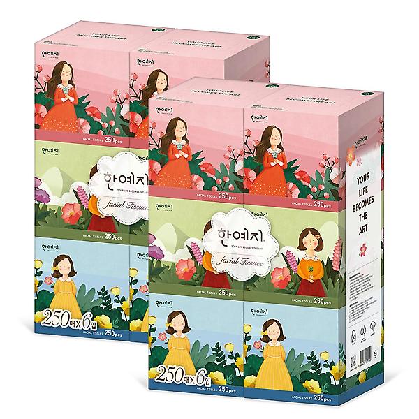  한예지 캐릭터 MINI 천연펄프 미용티슈 250매 6입 3팩