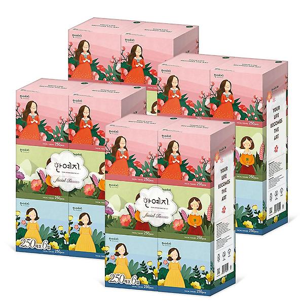  한예지 캐릭터 MINI 천연펄프 미용티슈 250매 6입 3팩
