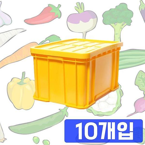  식료품 보관 식자재 보관에 좋은 만능상자 X 10개입