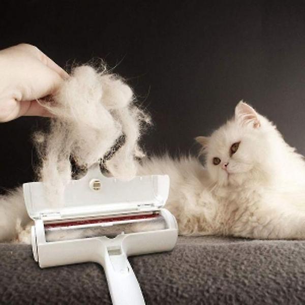  애완동물 털제거 반영구 돌돌이 강아지털빠짐 브러쉬