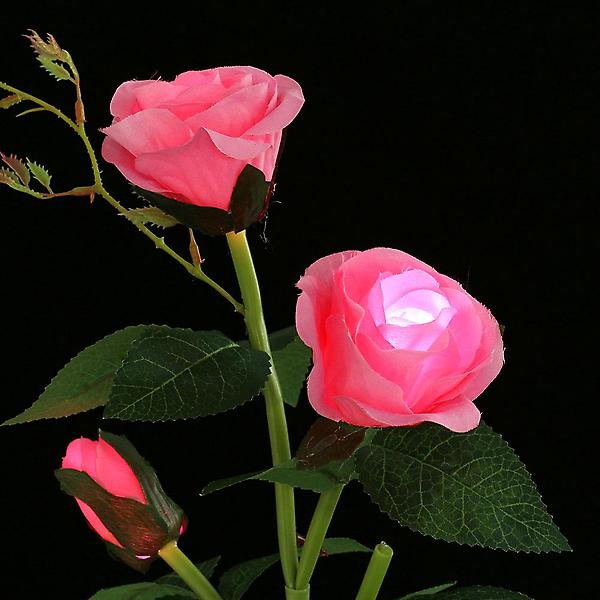  솔라가든 장미 LED 태양광 꽃정원등(핑크)