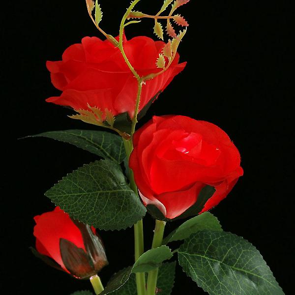  솔라가든 장미 LED 태양광 꽃정원등(레드)