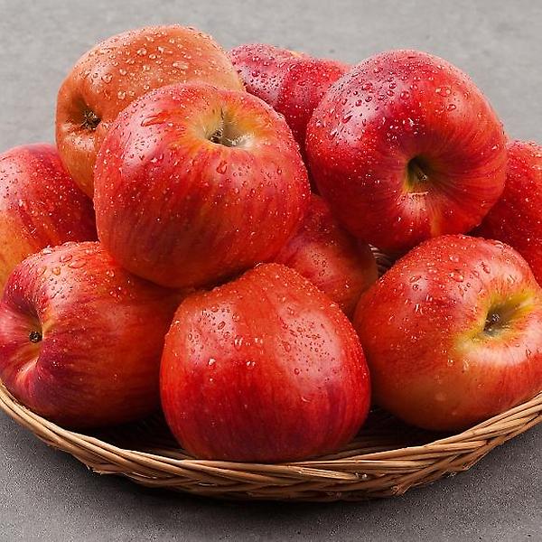  [자연예서] 고당도 고랭지 부사 사과 5kg (21-25과)