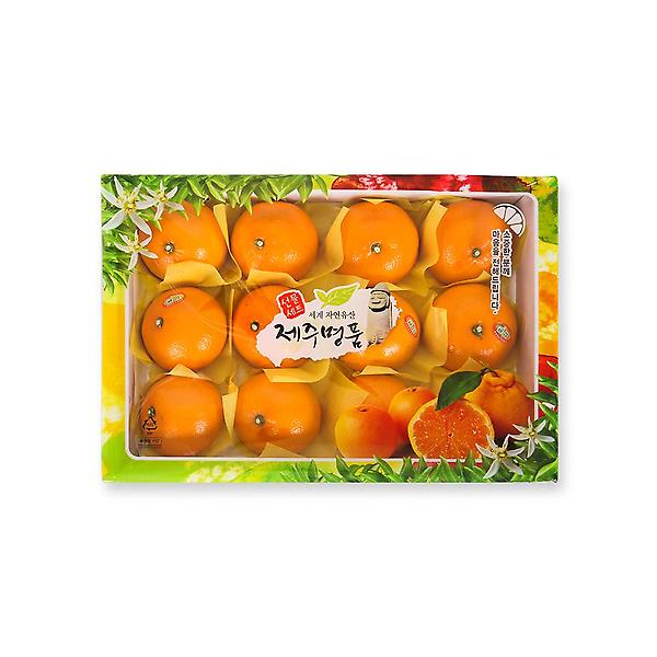  [고랑몰라] 천혜향 3kg(11-13과)