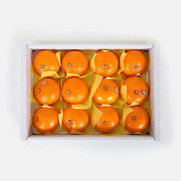  [고랑몰라] 천혜향 3kg(11-13과)