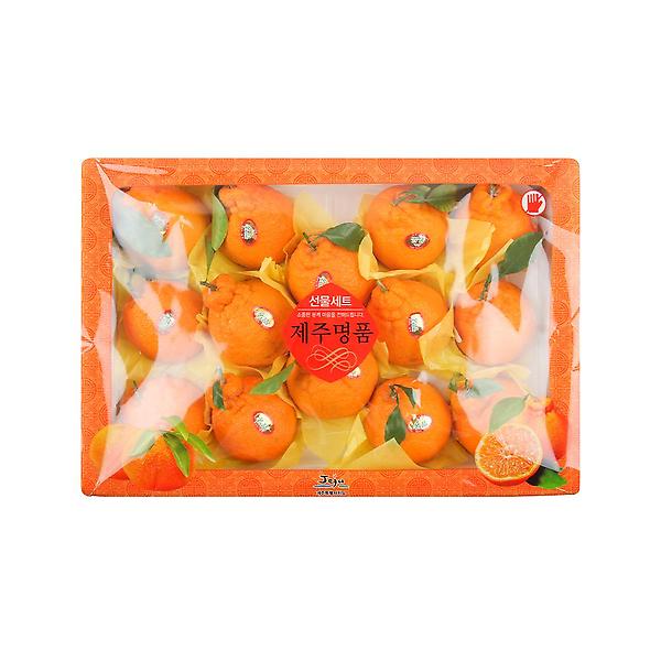  [고랑몰라] 한라봉 5kg(14-16과)