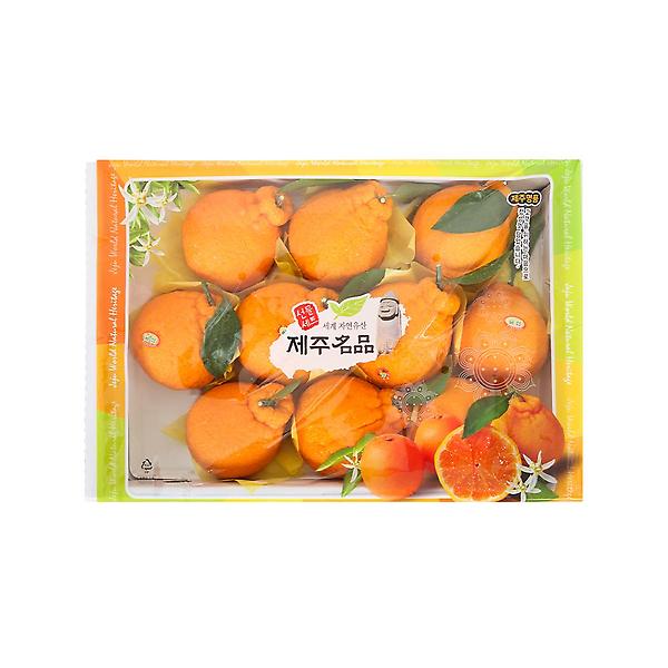  [고랑몰라] 한라봉 5kg(9~10과)
