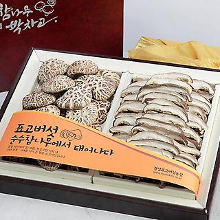 B0482190