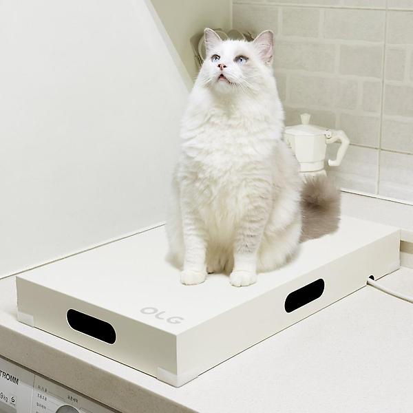  올지 세이프그립 인덕션커버 가스렌지 쿡탑 가스레인지 덮개 커버 받침대