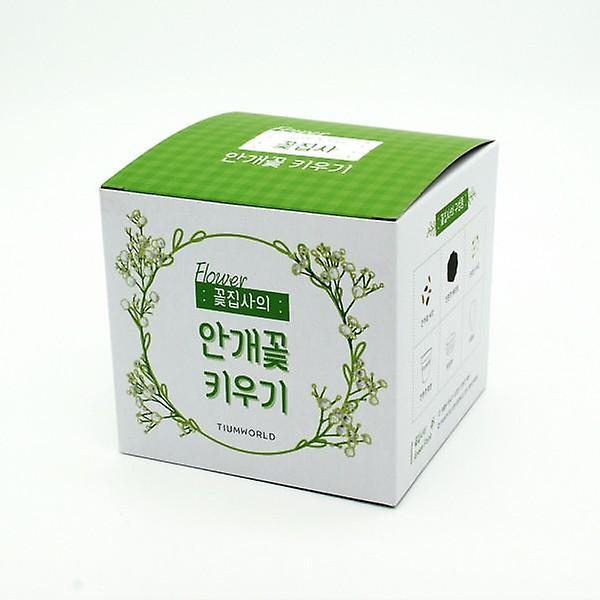  꽃집사 안개꽃