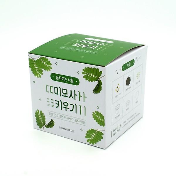  움직이는식물 미모사
