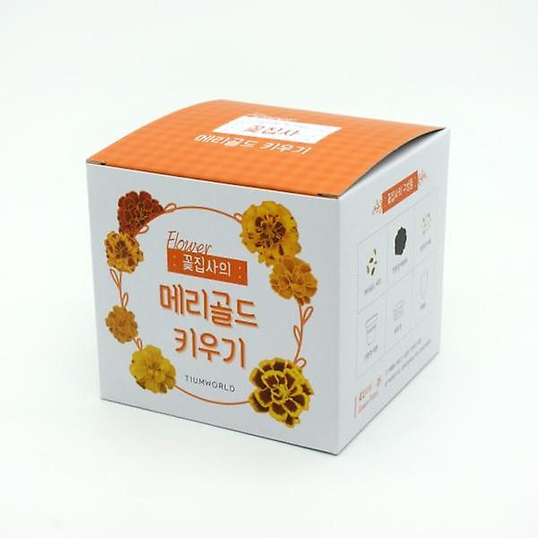  꽃집사 메리골드