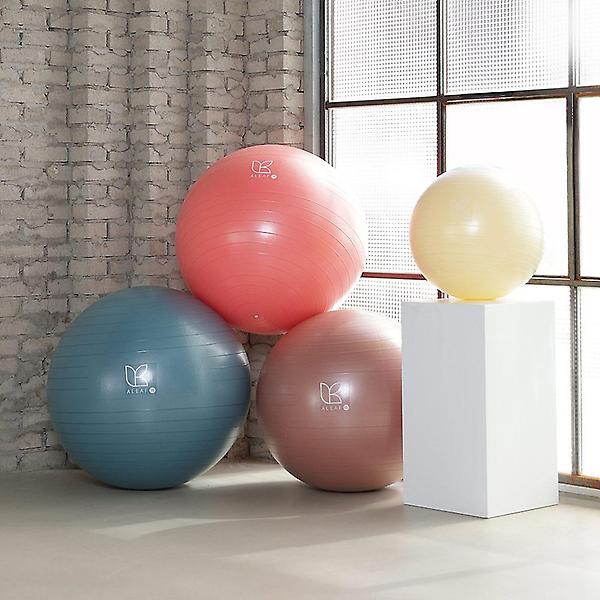  아리프 PVC 안티버스트 임산부 짐볼 55cm 요가 운동볼