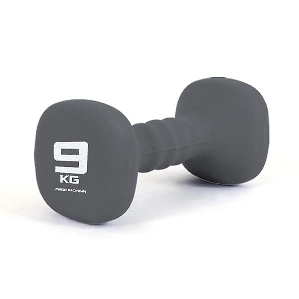  네오프렌 사각아령 9KG 근력운동 덤벨 헬스 바벨